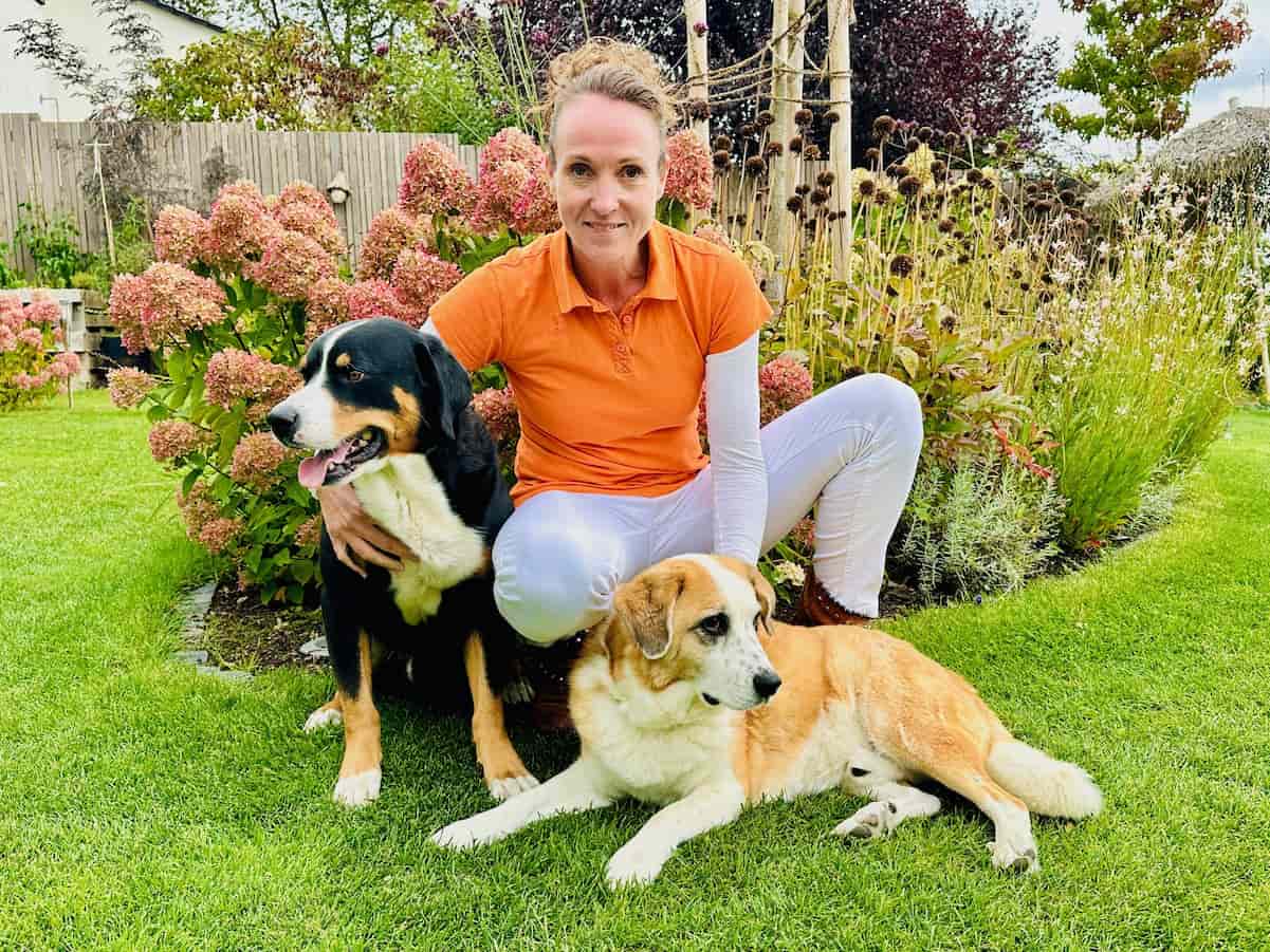 Achtsame Schmerztherapie am Hund